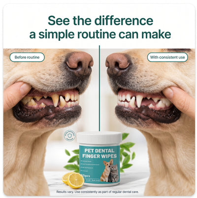 Canis Health - Finger Dental Wipes