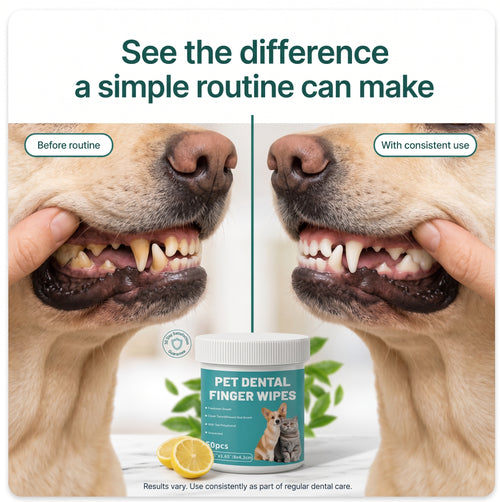 Canis Health - Finger Dental Wipes